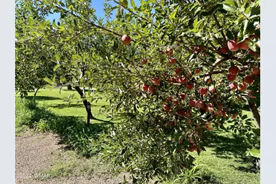 6442 W 1st Street, Woodruff, AZ 85942 - Photo 19