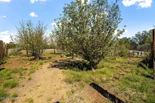 70 Cr N3077, Vernon, AZ 85940 - Photo 61