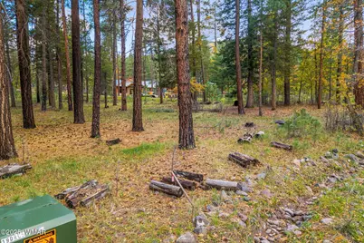 7 2190, Alpine, AZ 85920 - Photo 3