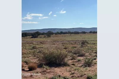 A County Road 5576, Concho, AZ 85924 - Photo 1