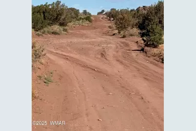 A County Road 5576, Concho, AZ 85924 - Photo 3