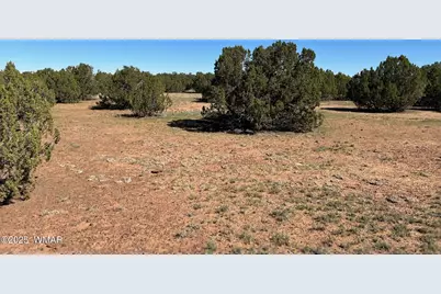 8656 Bonito Drive, Show Low, AZ 85901 - Photo 5