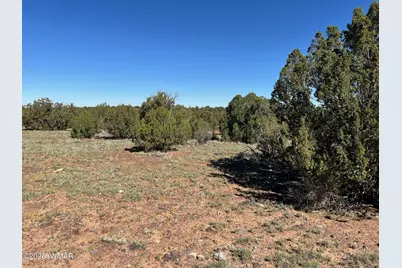 8656 Bonito Drive, Show Low, AZ 85901 - Photo 3