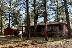 2381 W Willis, Show Low, AZ 85901 - Photo 21