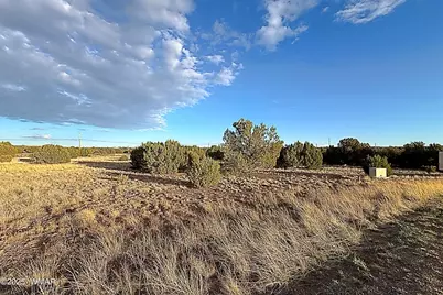 1926 Silver Lake Boulevard, Show Low, AZ 85901 - Photo 1