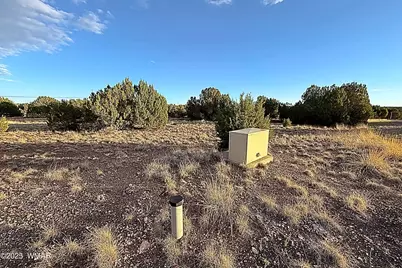 1926 Silver Lake Boulevard, Show Low, AZ 85901 - Photo 3