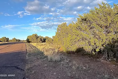 1926 Silver Lake Boulevard, Show Low, AZ 85901 - Photo 13