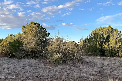 1926 Silver Lake Boulevard, Show Low, AZ 85901 - Photo 9