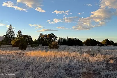 1930 Silver Lake Boulevard, Show Low, AZ 85901 - Photo 1
