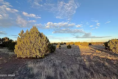 1930 Silver Lake Boulevard, Show Low, AZ 85901 - Photo 5