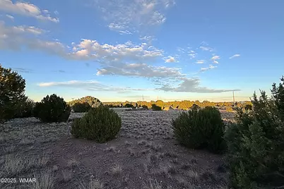 1930 Silver Lake Boulevard, Show Low, AZ 85901 - Photo 3