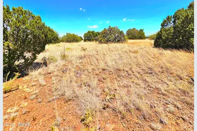 1950 Creekside Circle, Show Low, AZ 85901 - Photo 11