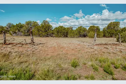 0 Pulp Mill Road, Clay Springs, AZ 85923 - Photo 5