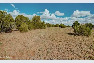 0 Pulp Mill Road, Clay Springs, AZ 85923 - Photo 3