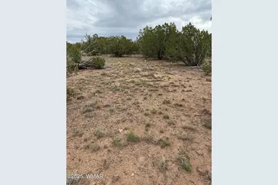 55 Ponderosa Drive, Concho, AZ 85924 - Photo 5