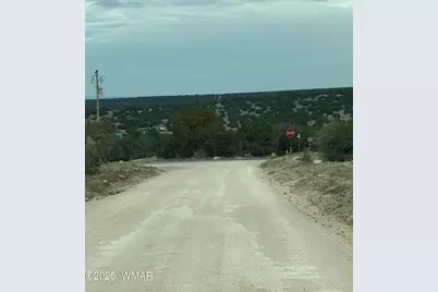 55 Ponderosa Drive, Concho, AZ 85924 - Photo 7