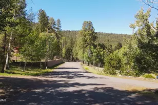 1 E Main St, Greer, AZ 85927 - Photo 39