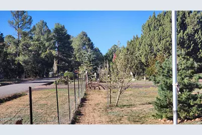 1085 Pine Ridge Drive, Show Low, AZ 85901 - Photo 49