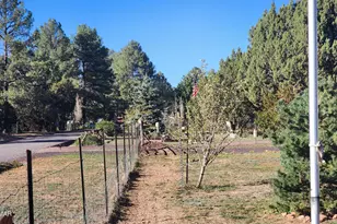 1085 Pine Ridge Dr, Show Low, AZ 85901 - Photo 49