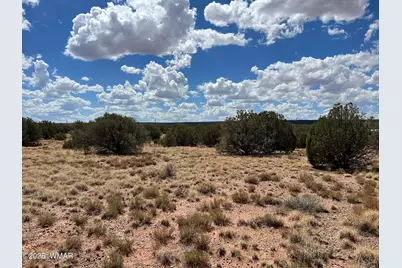 4498 S Pinto Road, Snowflake, AZ 85937 - Photo 7