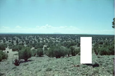 27 N 9204, Concho, AZ 85924 - Photo 1