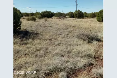 1794 Fox Circle, Show Low, AZ 85901 - Photo 5