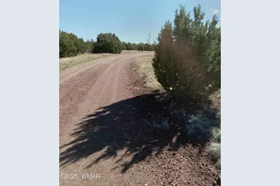 1794 Fox Circle, Show Low, AZ 85901 - Photo 3