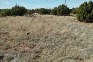 1794 Fox Cir, Show Low, AZ 85901 - Photo 1