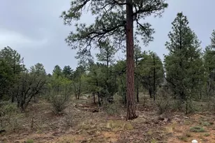 650 S Pine Haven Dr, Show Low, AZ 85901 - Photo 1