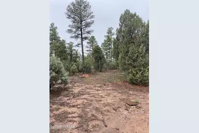 720 S Mountain Pines Avenue, Show Low, AZ 85901 - Photo 9