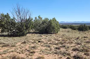 85 N 8522, Concho, AZ 85924 - Photo 1