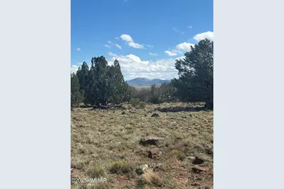 29B County Road N 8339, Concho, AZ 85924 - Photo 5