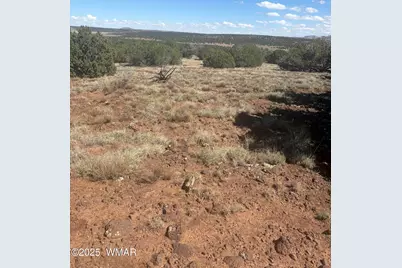 29B County Road N 8339, Concho, AZ 85924 - Photo 7