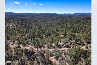 3350 W Rim Road Parcel #1, Lakeside, AZ 85929 - Photo 3