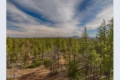 3350 W Rim Road Parcel #2, Lakeside, AZ 85929 - Photo 3