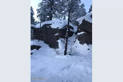 3424 Butts Lane, Heber, AZ 85928 - Photo 29