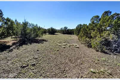 1639 Silver Lake Boulevard, Show Low, AZ 85901 - Photo 5