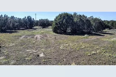 1639 Silver Lake Boulevard, Show Low, AZ 85901 - Photo 3