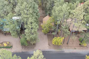 1709 E Gobbler Peak Ln, Pinetop, AZ 85935 - Photo 21