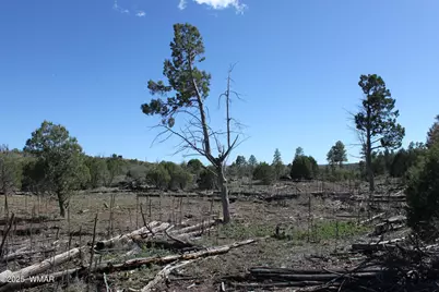 1663 Cactus Flower Road, Pinedale, AZ 85934 - Photo 15