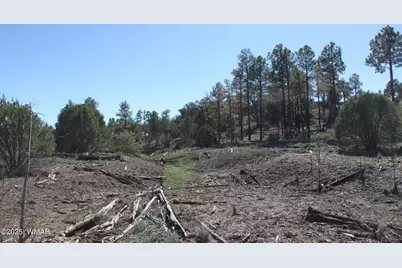 1663 Cactus Flower Road, Pinedale, AZ 85934 - Photo 17