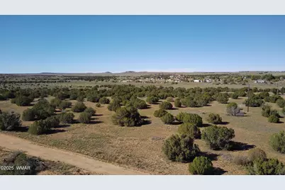 5100 Falcon Drive, Taylor, AZ 85939 - Photo 11