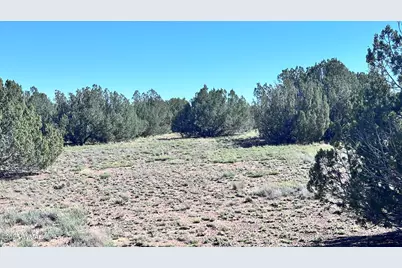 5100 Falcon Drive, Taylor, AZ 85939 - Photo 9