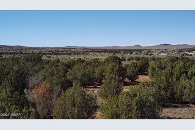 5100 Falcon Drive, Taylor, AZ 85939 - Photo 13