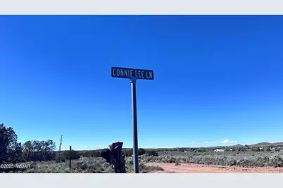 5100 Falcon Drive, Taylor, AZ 85939 - Photo 5