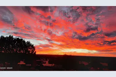 80 N3313, Vernon, AZ 85940 - Photo 45