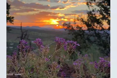 80 N3313, Vernon, AZ 85940 - Photo 47