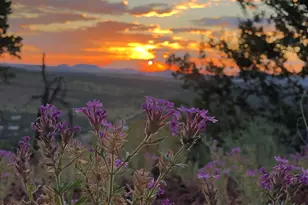 80 N3313, Vernon, AZ 85940 - Photo 47