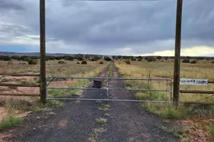 40 CR 5309, Concho, AZ 85924 - Photo 3