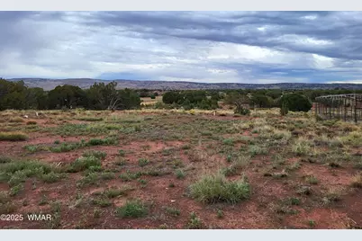 40 County Road 5309, Concho, AZ 85924 - Photo 5